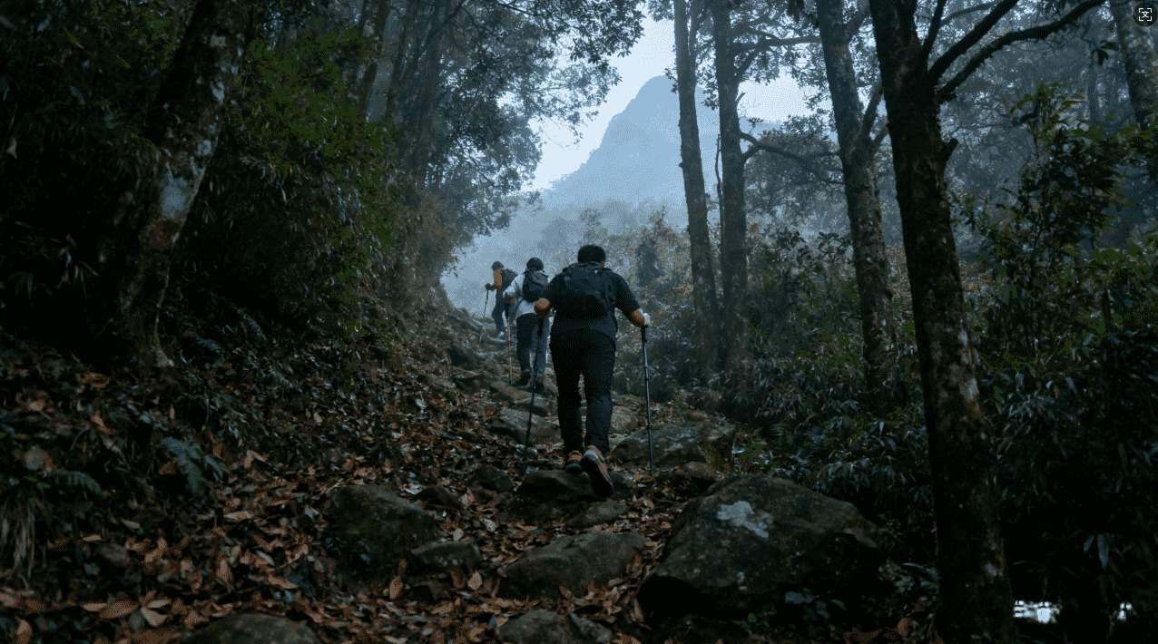 新手指南：梯子NPV加速器的操作步骤解析